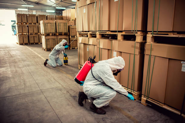 Best Pest Control Near Me  in Spartanburg, SC