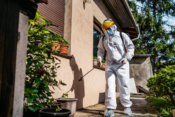 Pest Prevention Services in Spartanburg, SC