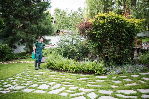 Best Best Pest Control Companies  in Spartanburg, SC