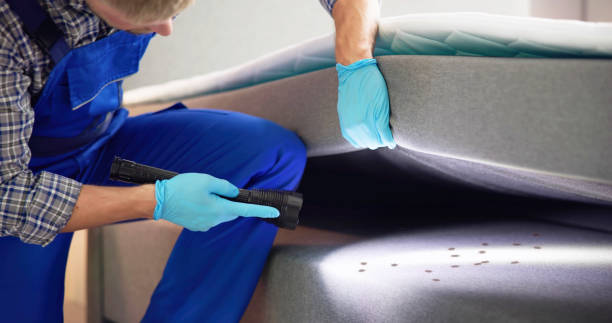 Best Affordable Pest Control Services  in Spartanburg, SC