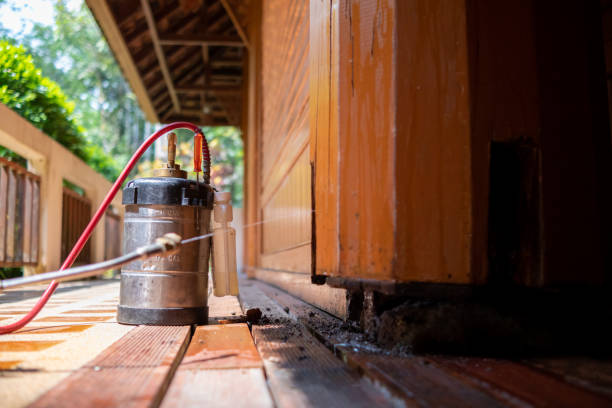 Best Pest Removal Services  in Spartanburg, SC