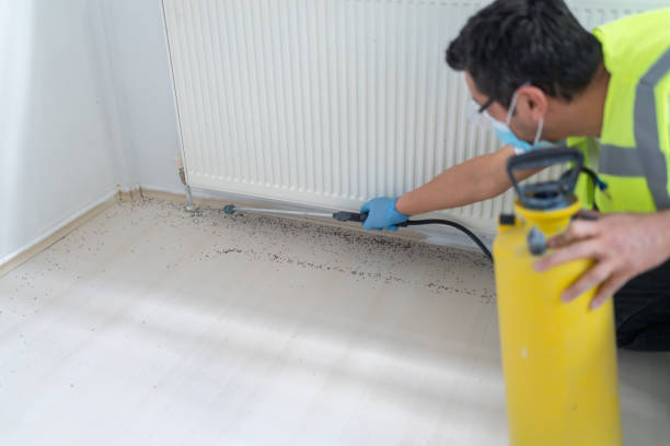 Best Pest Prevention Services  in Spartanburg, SC